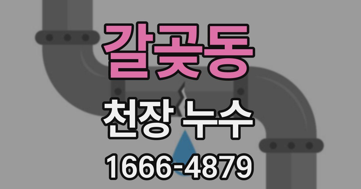 갈곶동 천장 누수