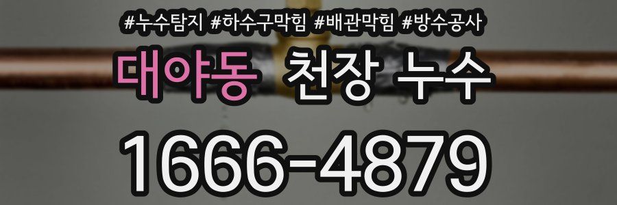 대야동 천장 누수