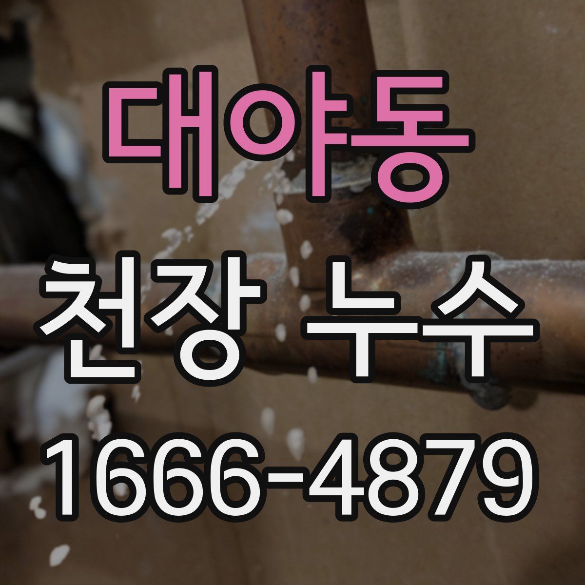 대야동 천장 누수