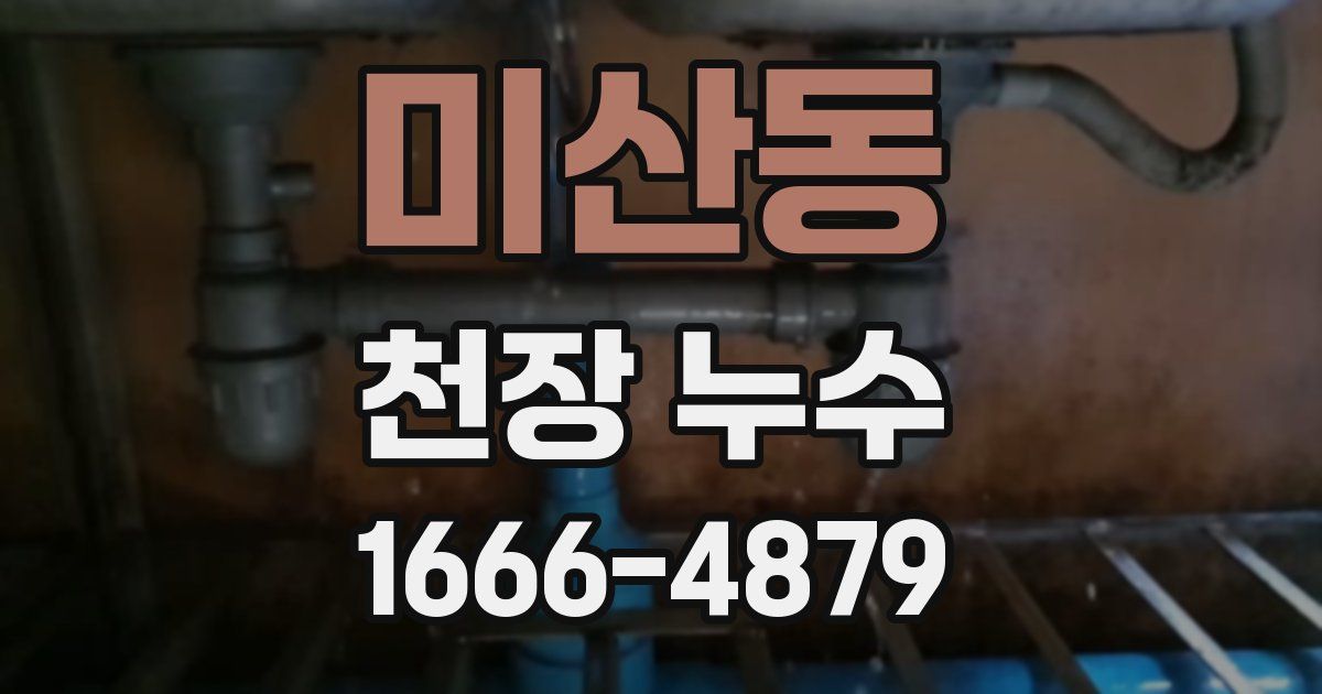 미산동 천장 누수