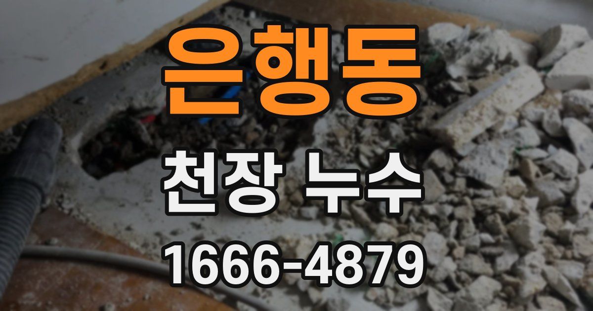 은행동 천장 누수