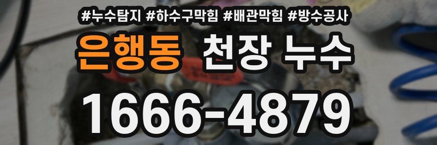 은행동 천장 누수