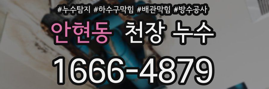 안현동 천장 누수