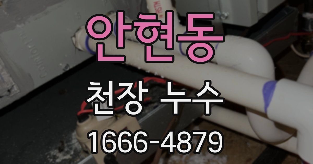 안현동 천장 누수