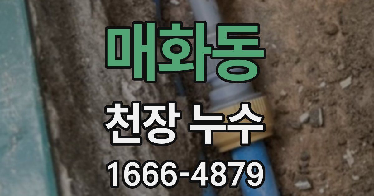 매화동 천장 누수