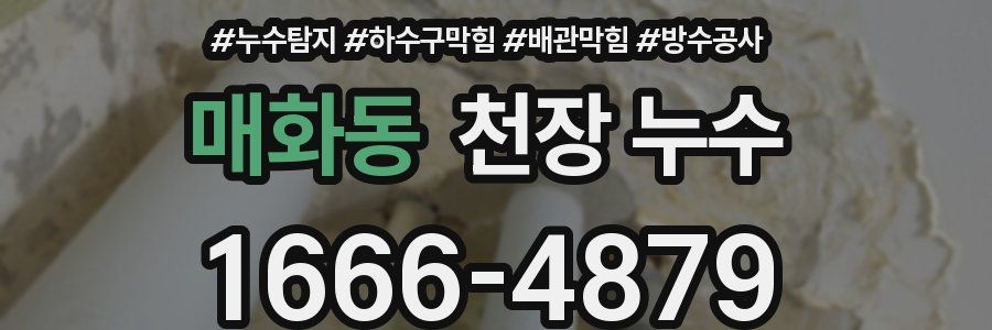 매화동 천장 누수