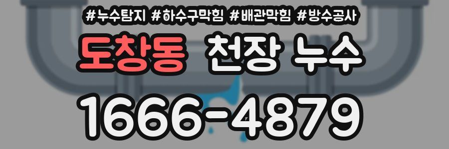 도창동 천장 누수