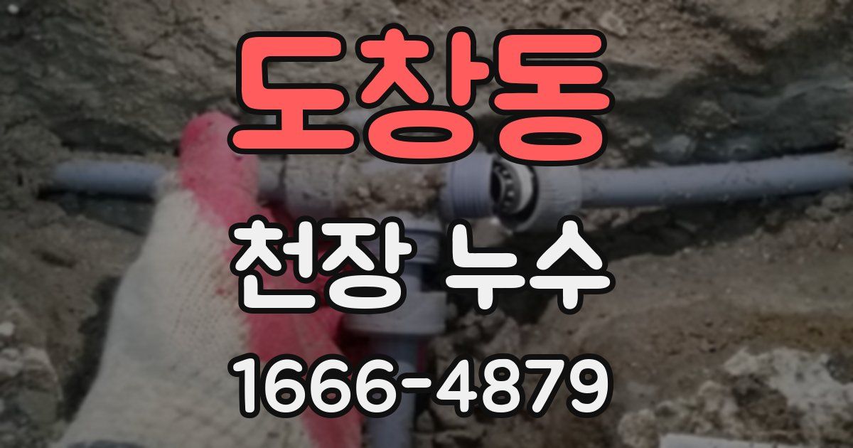 도창동 천장 누수