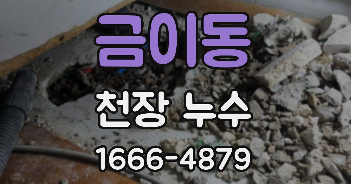 금이동 천장 누수