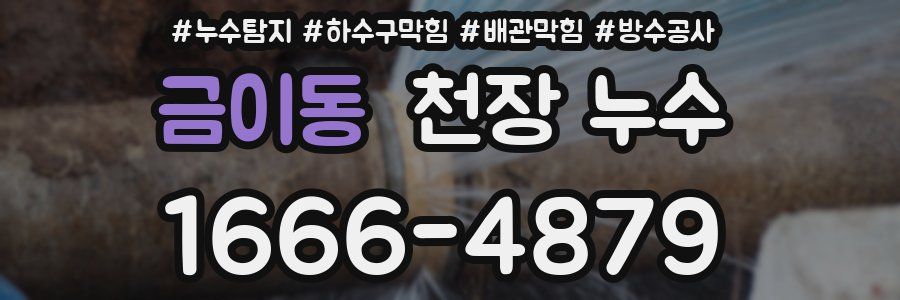 금이동 천장 누수