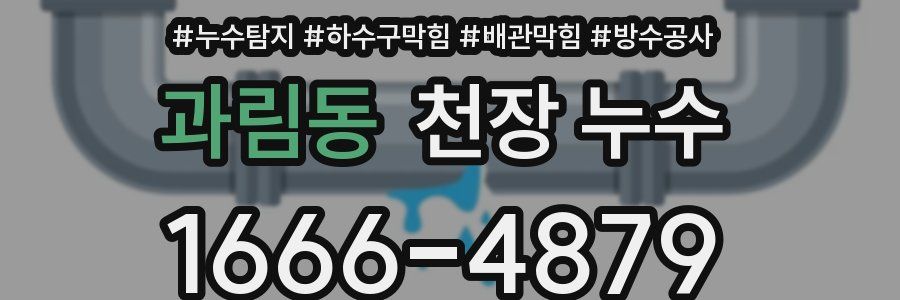 과림동 천장 누수