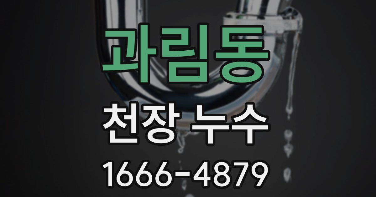 과림동 천장 누수