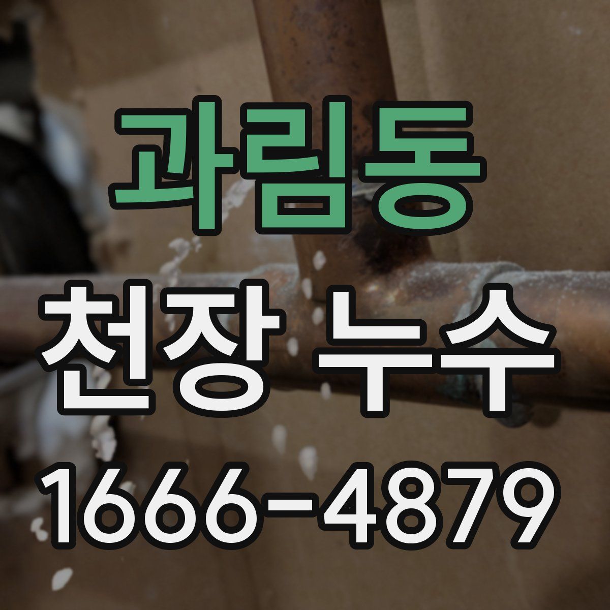 과림동 천장 누수