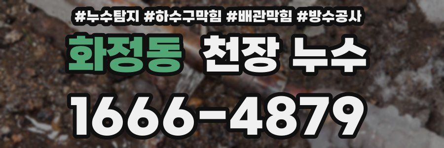 화정동 천장 누수