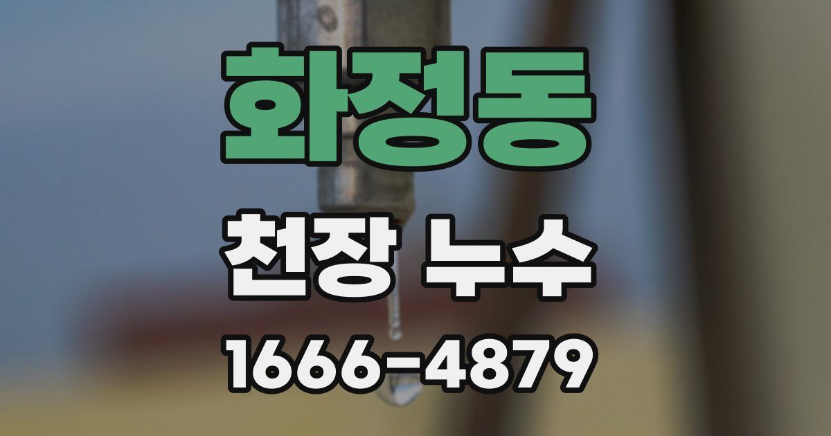 화정동 천장 누수