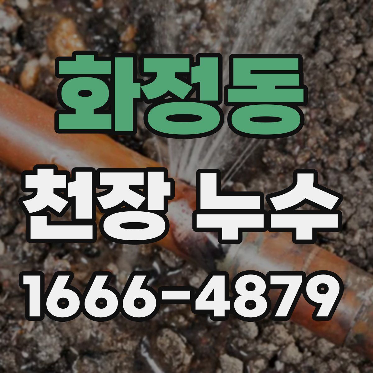 화정동 천장 누수