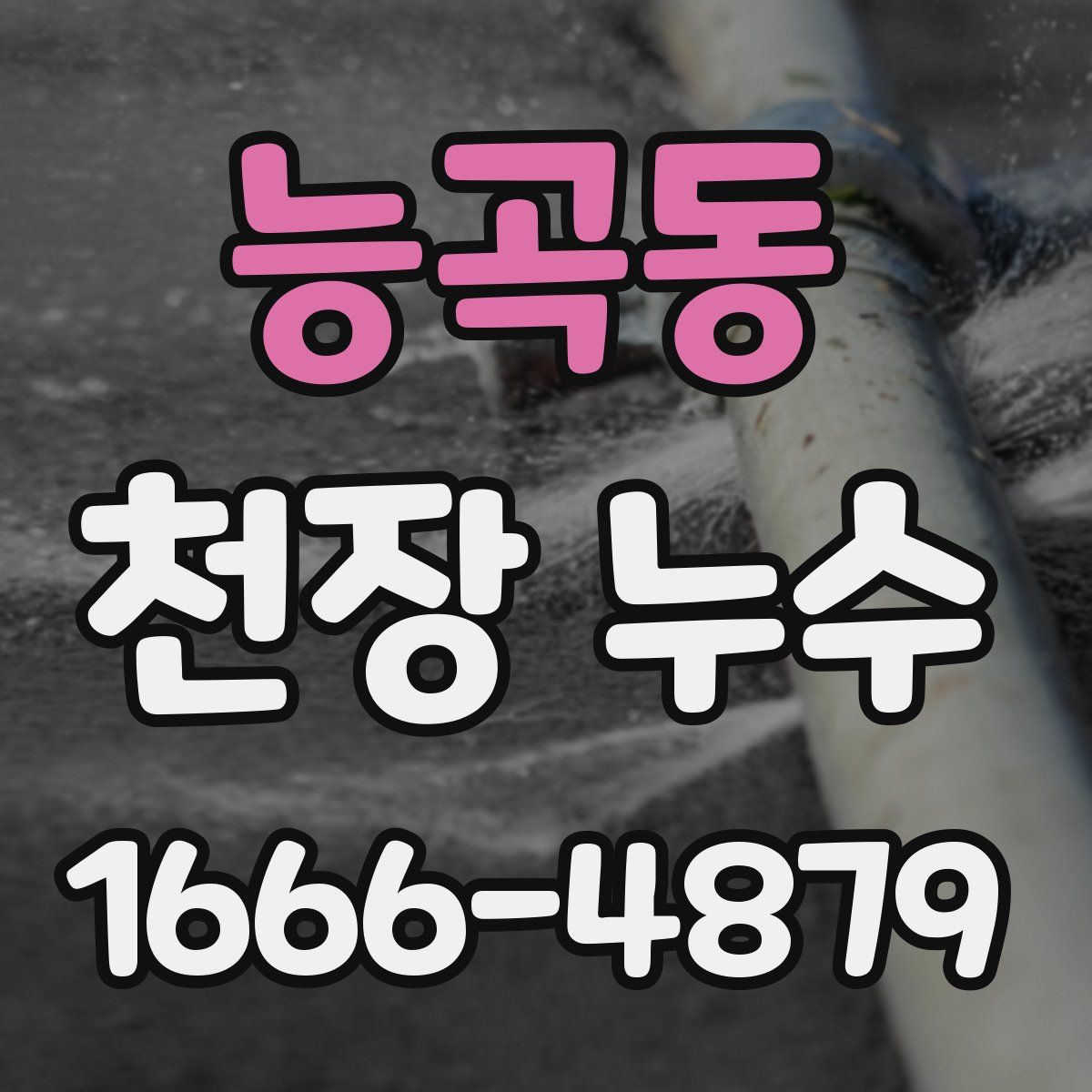 능곡동 천장 누수