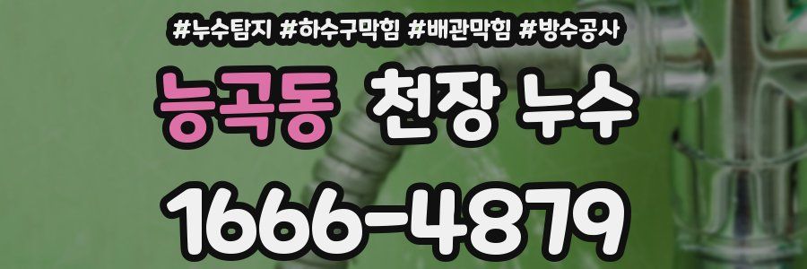 능곡동 천장 누수