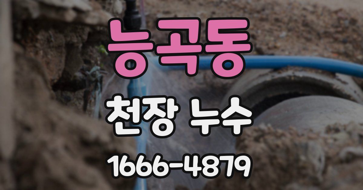 능곡동 천장 누수