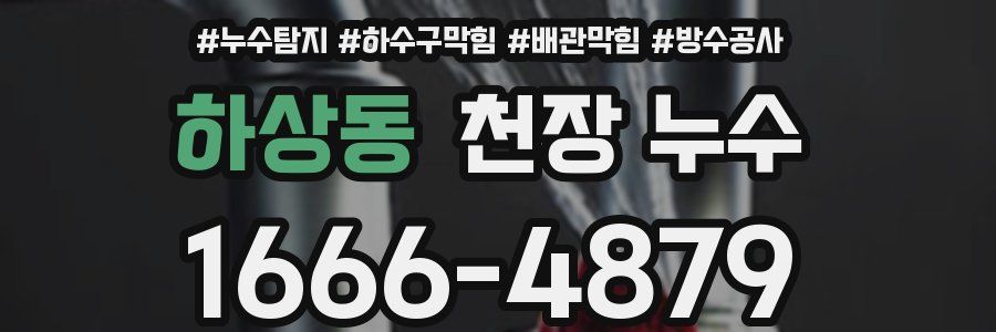하상동 천장 누수