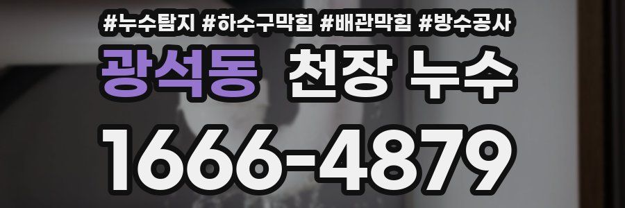 광석동 천장 누수