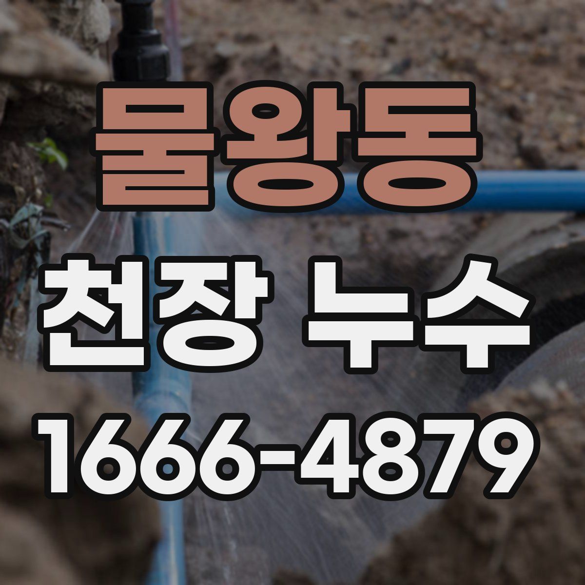 물왕동 천장 누수