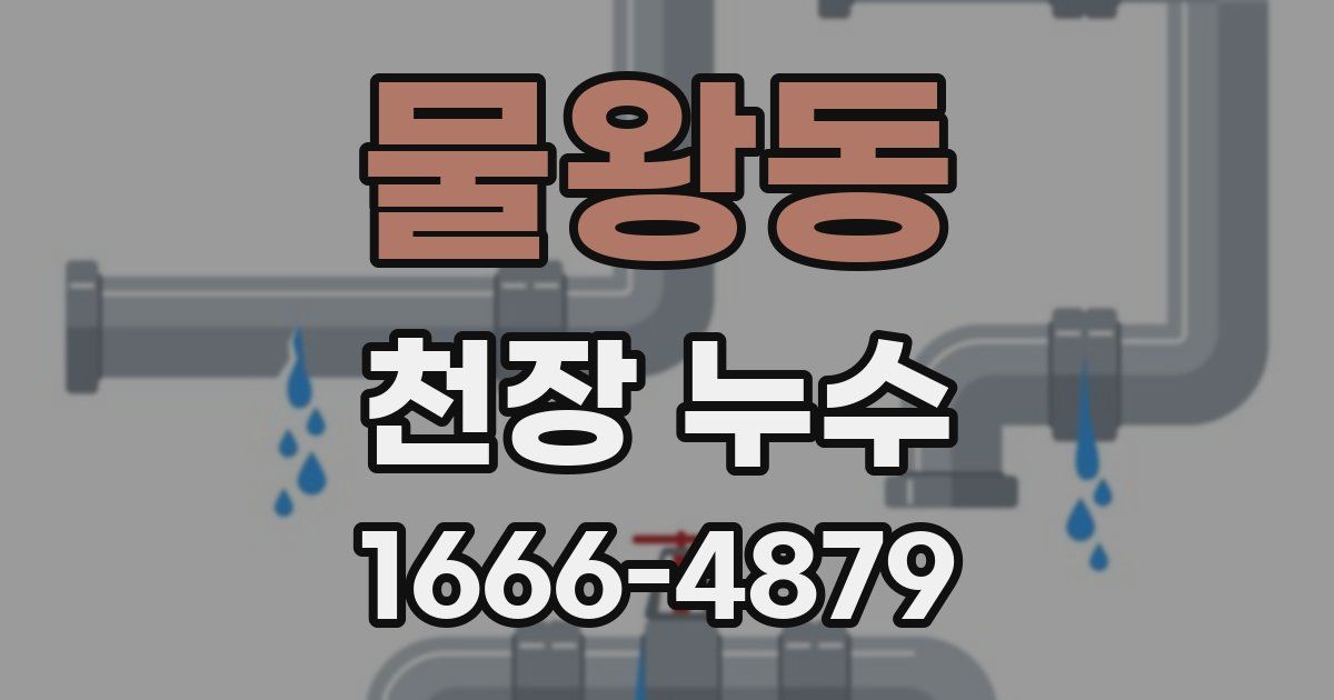 물왕동 천장 누수