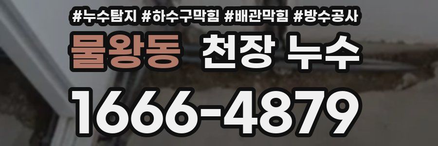 물왕동 천장 누수