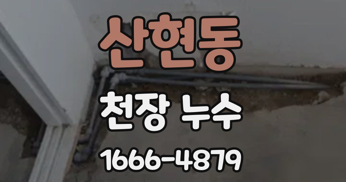산현동 천장 누수