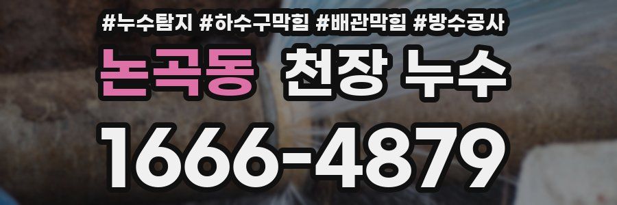 논곡동 천장 누수