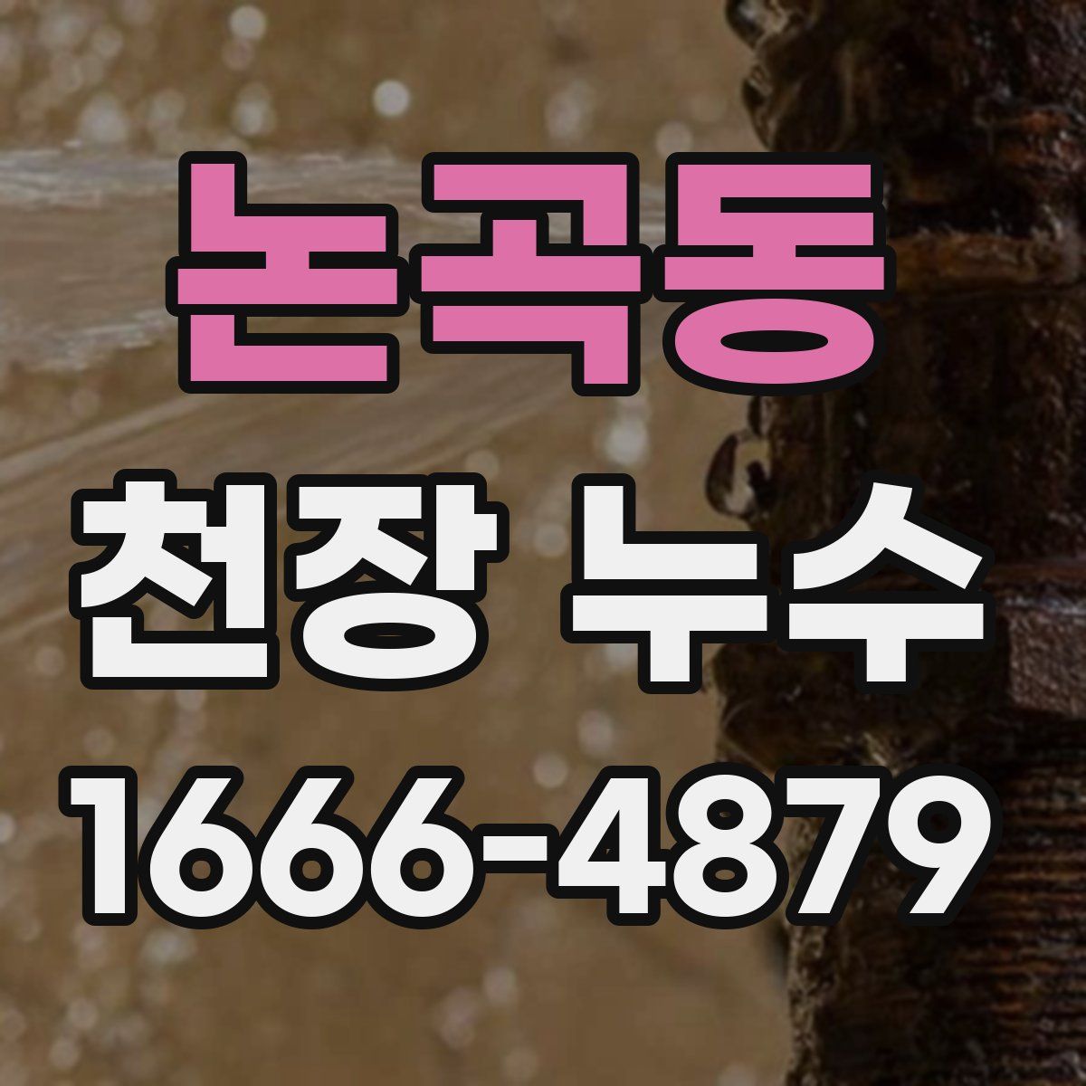 논곡동 천장 누수