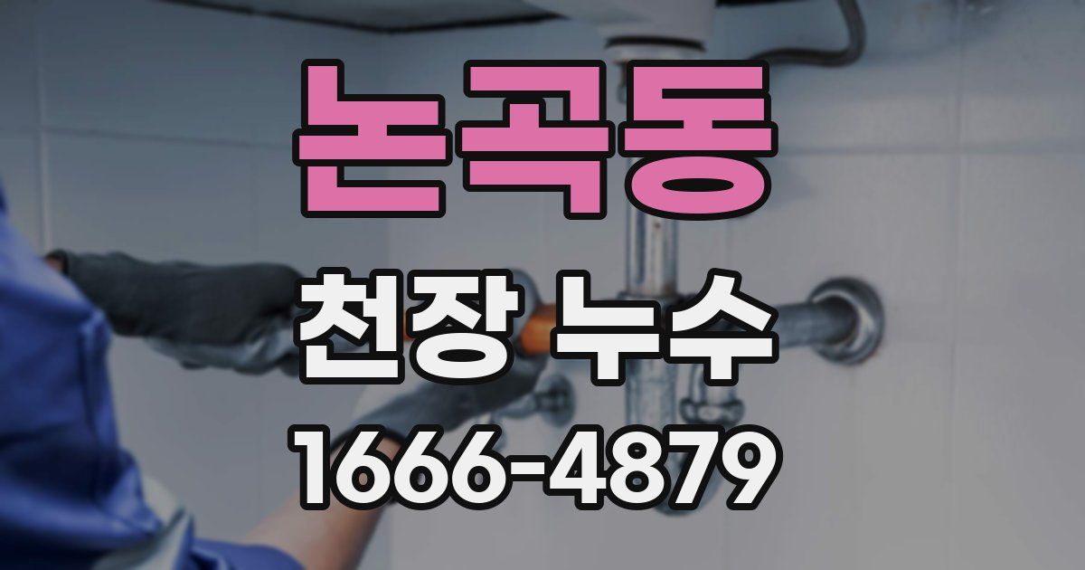 논곡동 천장 누수