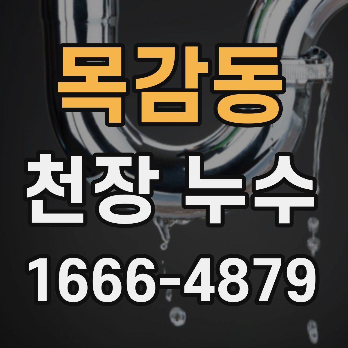 목감동 천장 누수