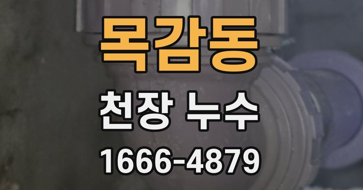 목감동 천장 누수