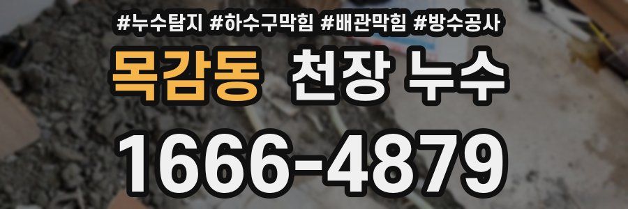 목감동 천장 누수