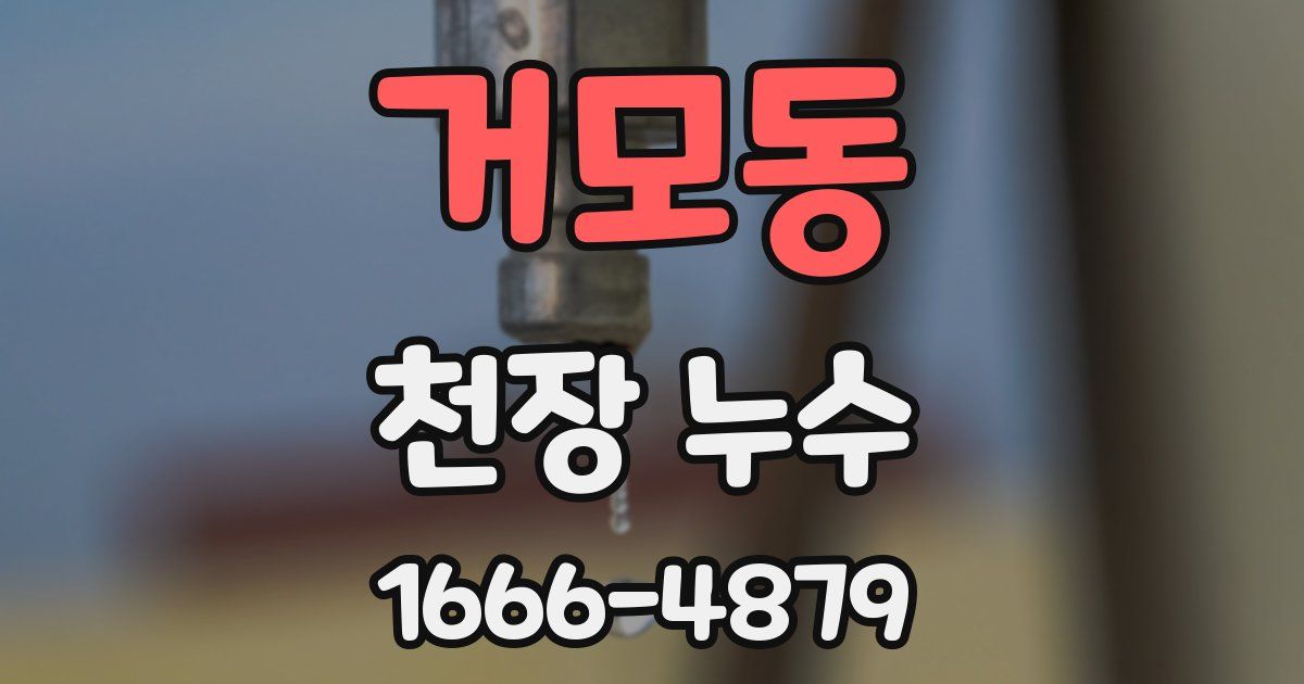 거모동 천장 누수