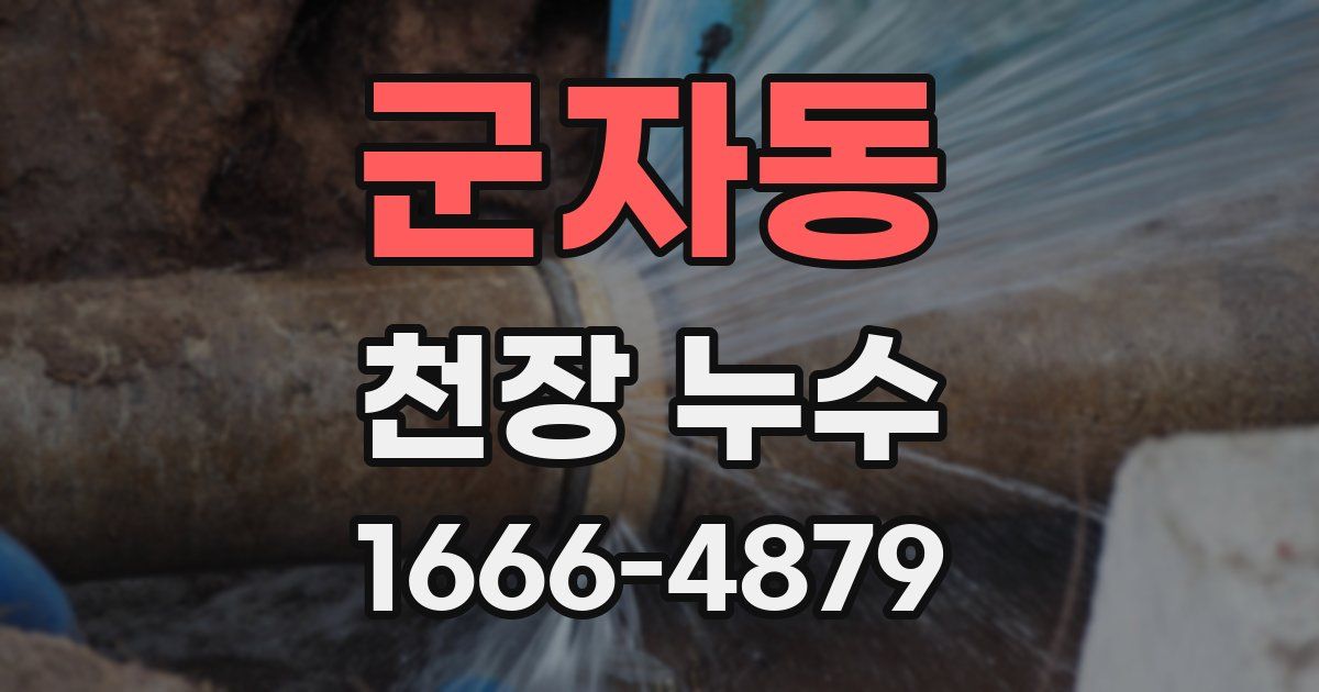 군자동 천장 누수