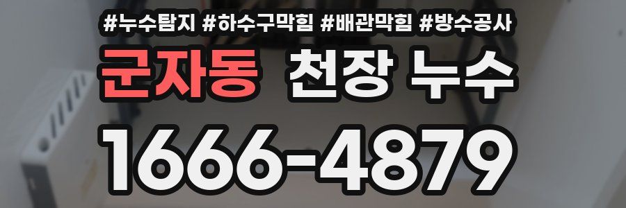 군자동 천장 누수