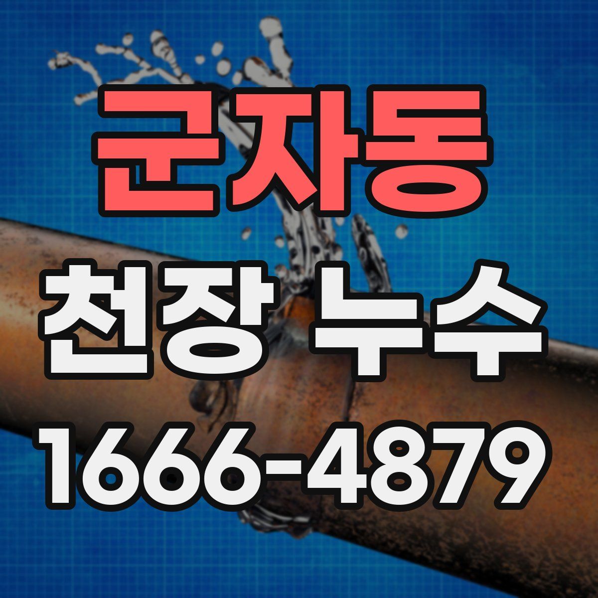 군자동 천장 누수