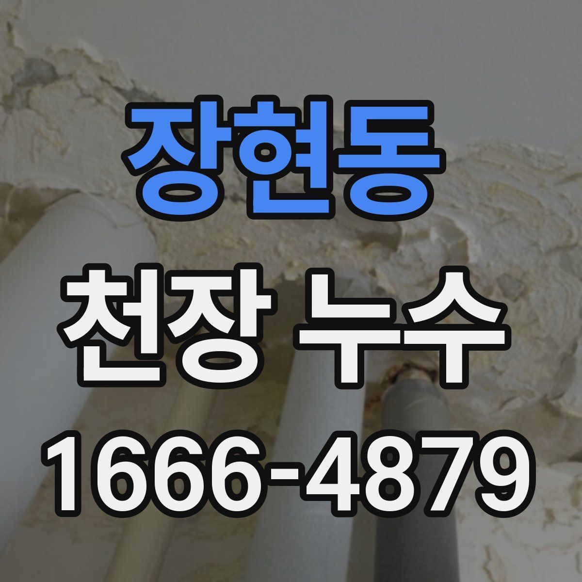 장현동 천장 누수