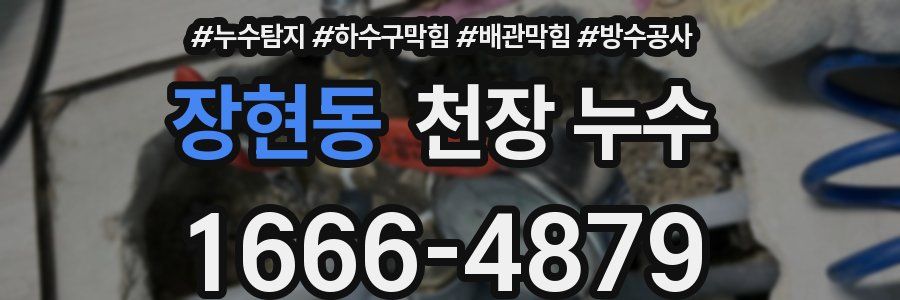 장현동 천장 누수