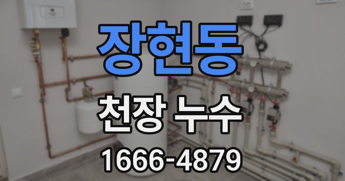 장현동 천장 누수