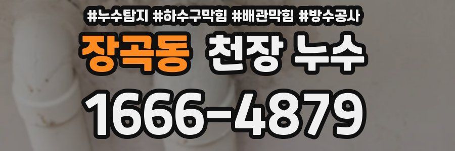 장곡동 천장 누수