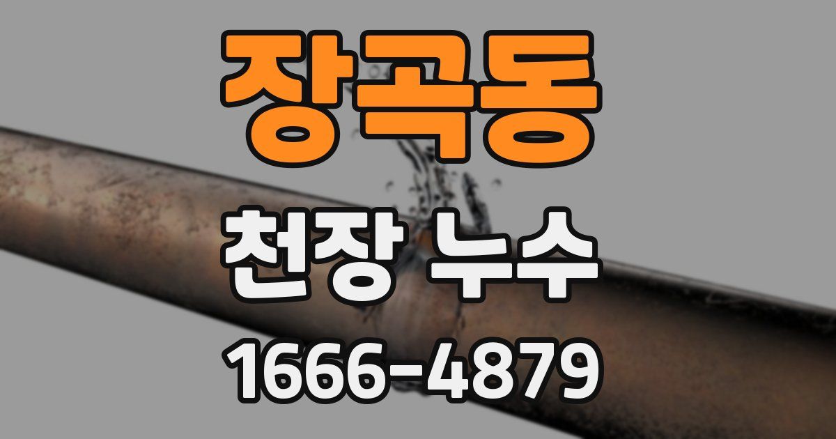 장곡동 천장 누수