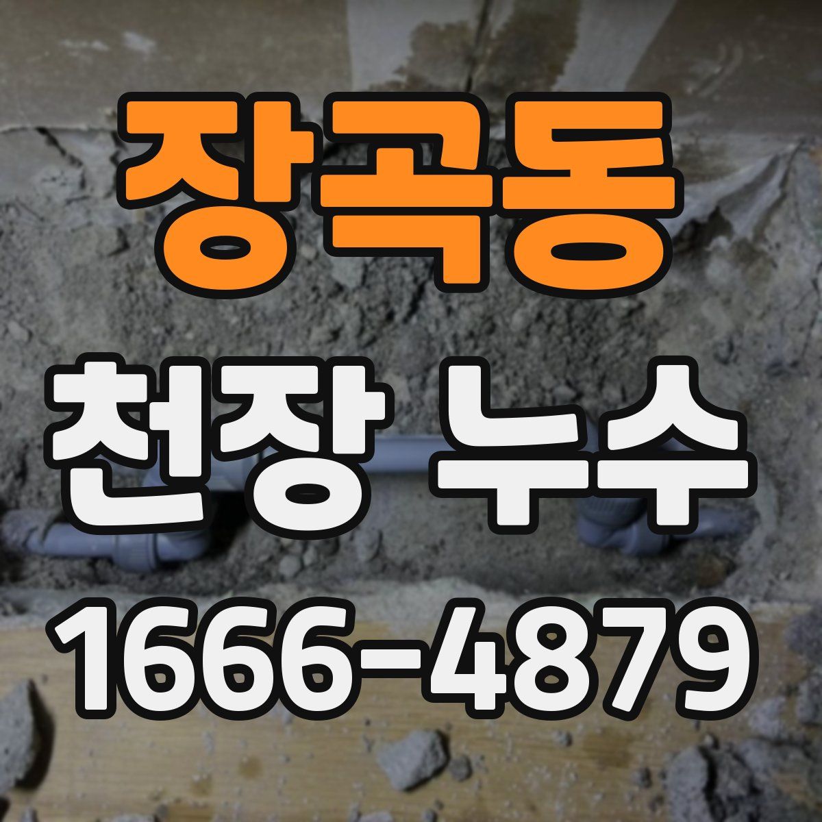 장곡동 천장 누수