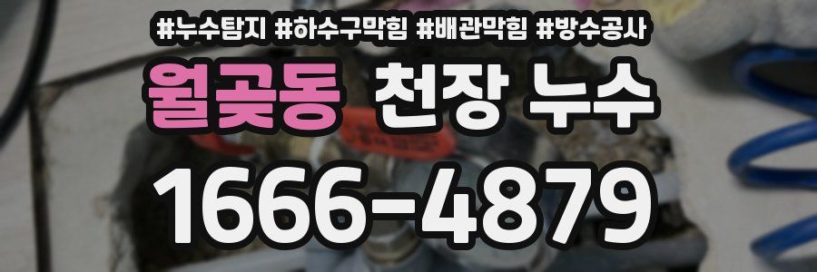 월곶동 천장 누수