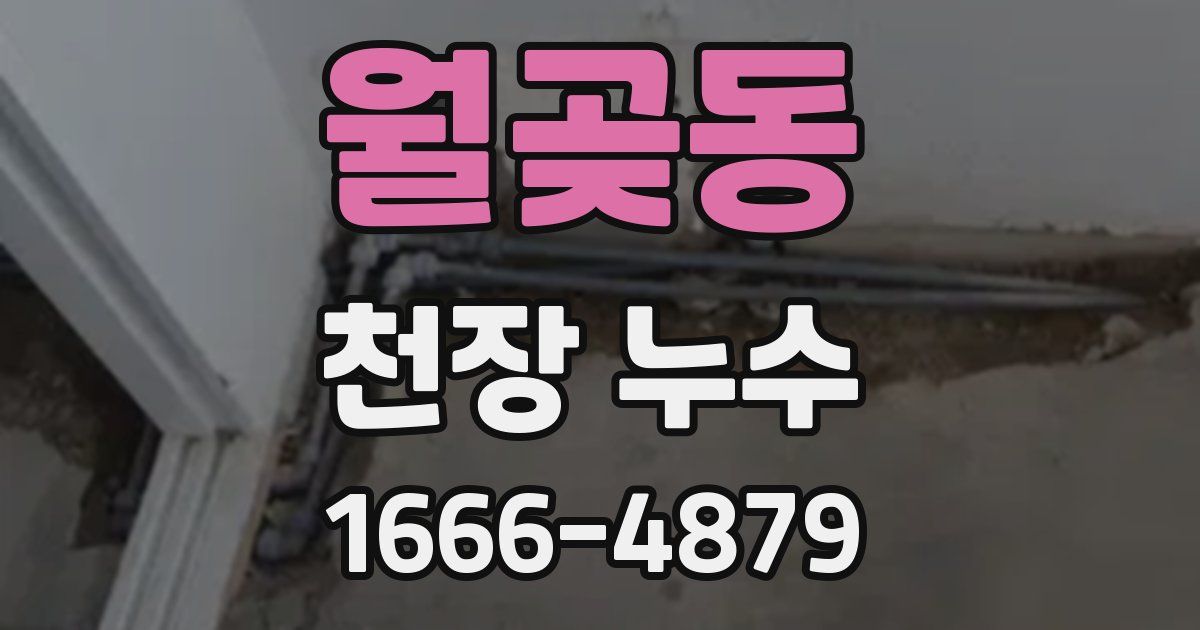 월곶동 천장 누수