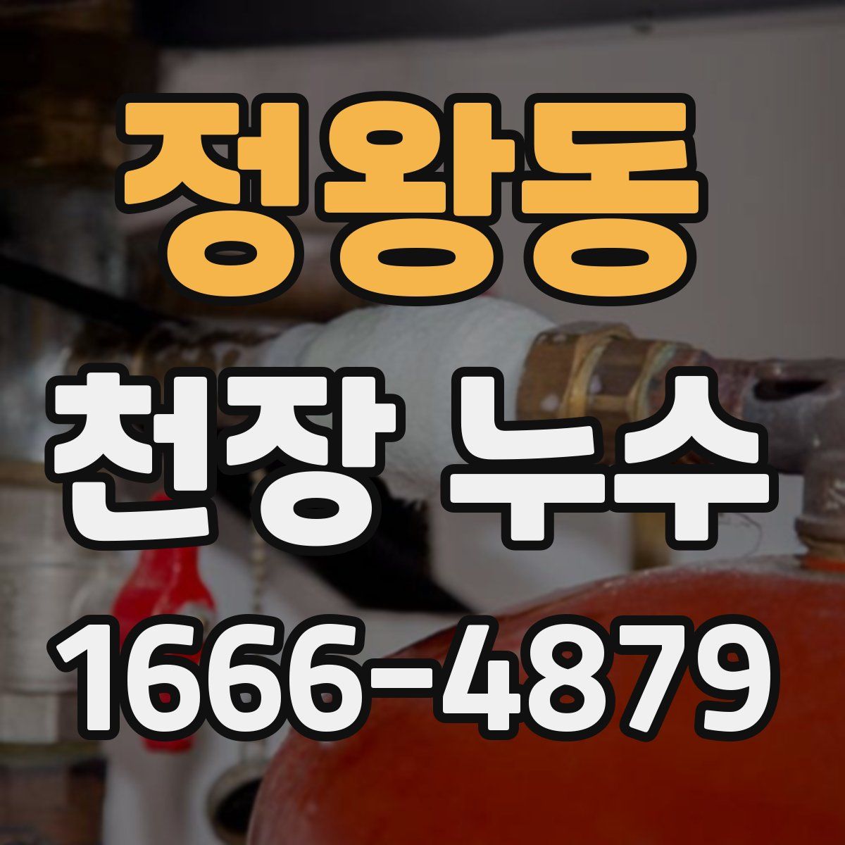 정왕동 천장 누수