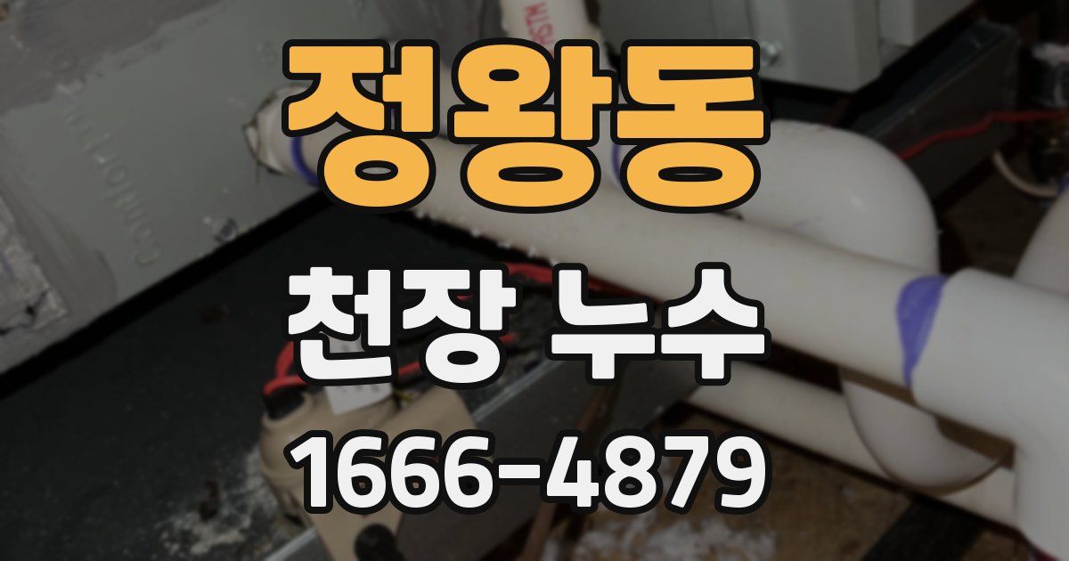 정왕동 천장 누수