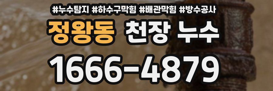 정왕동 천장 누수